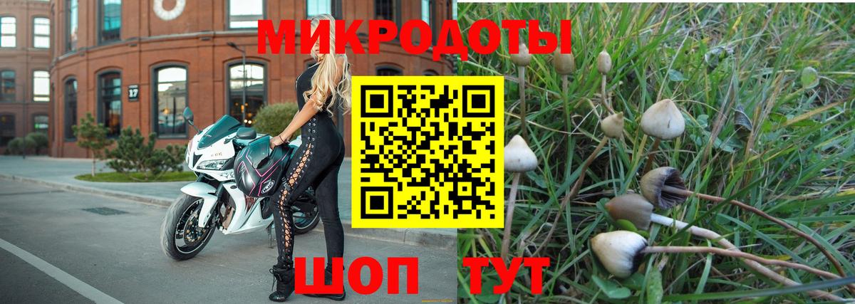 Псилоцибиновые грибы мицелий Семёнов