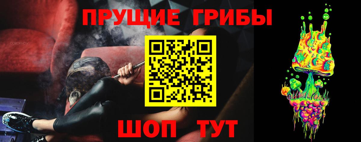 Семёнов  Псилоцибиновые грибы Psilocybine cubensis  Вход с VPN 